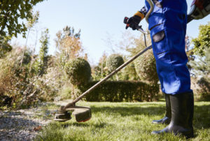 gardener with weedwacker cutting grass garden.jpg